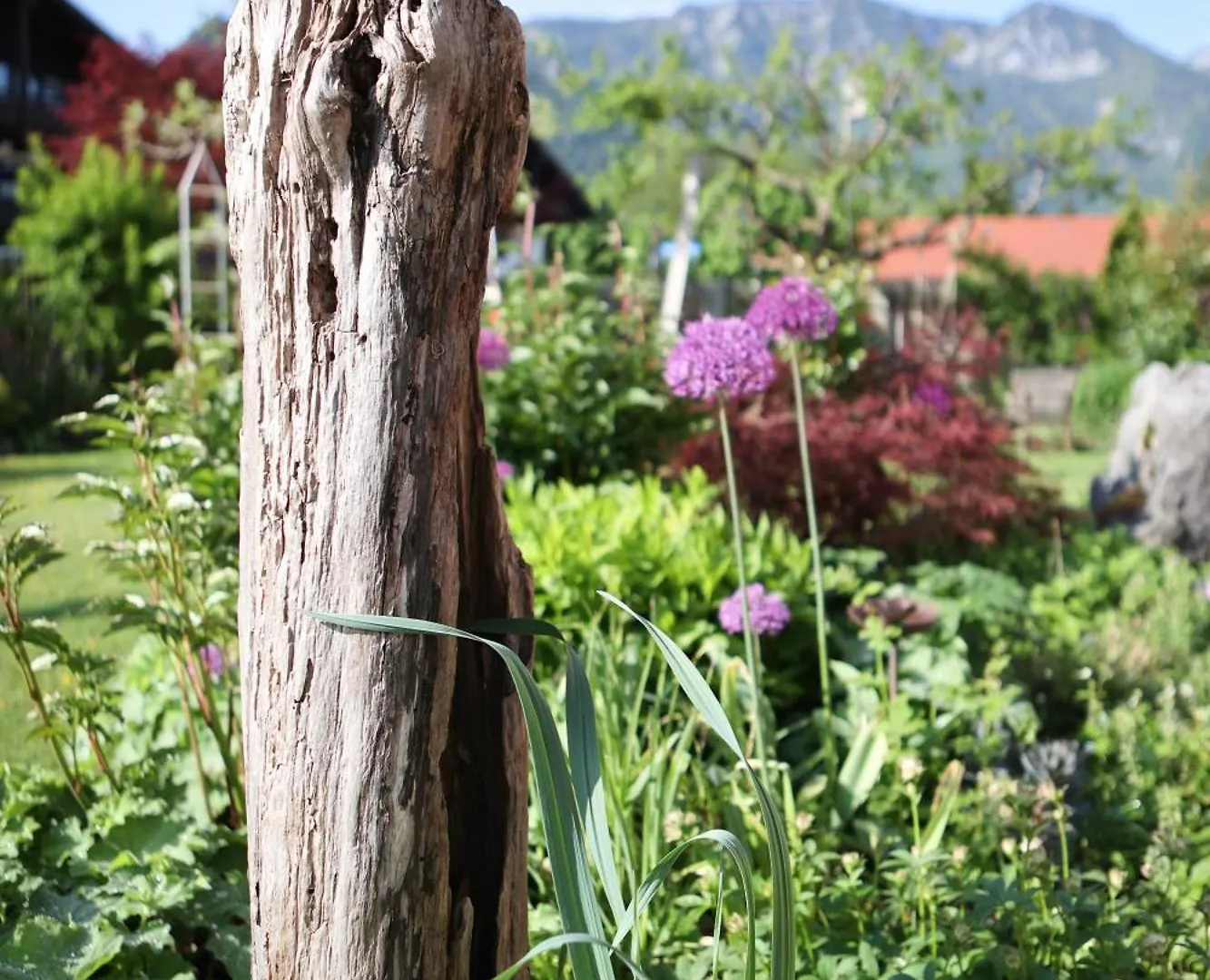 Apartamento Ferienwohnung Sepp Inzell